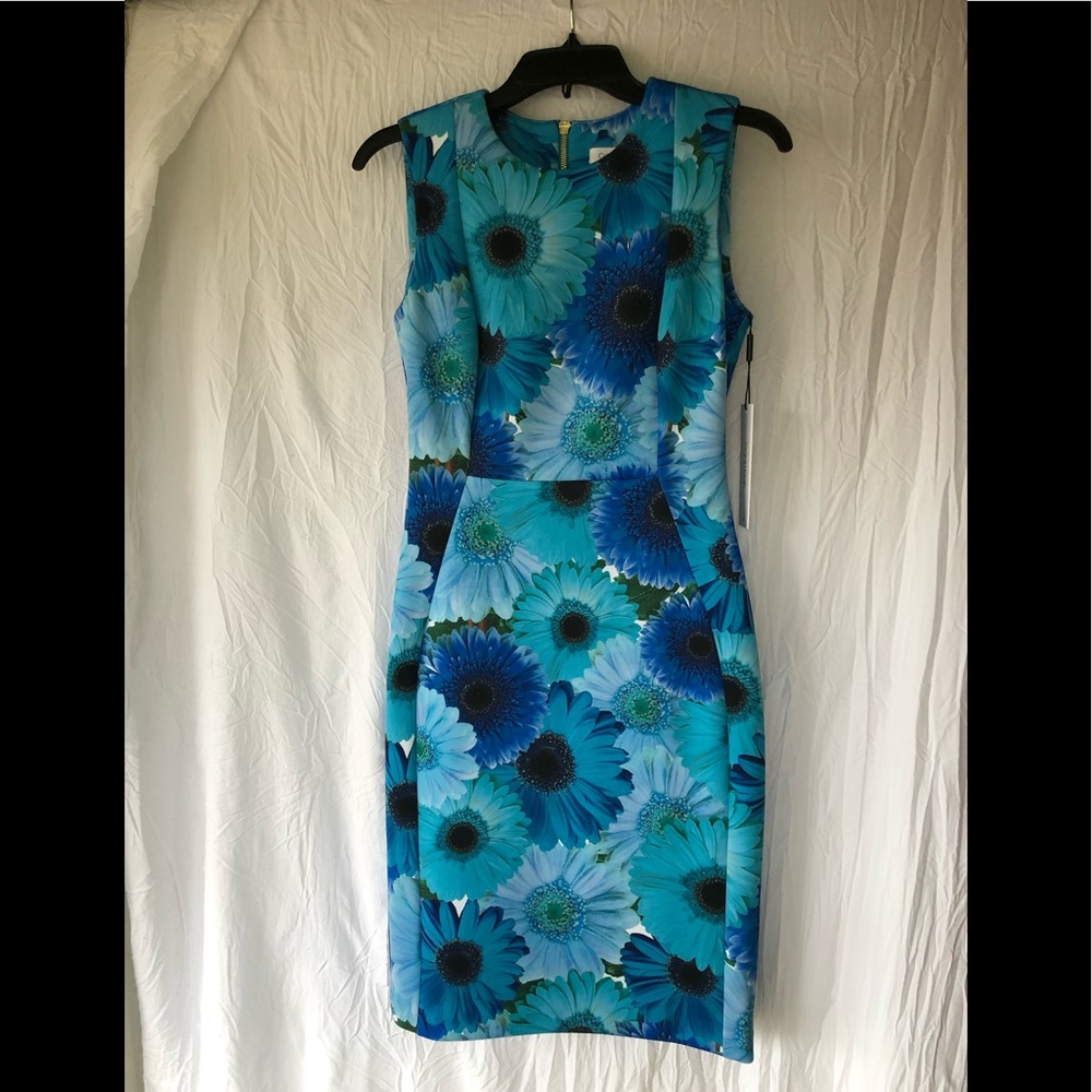 CLAVIN KLEIN dress size 4 blue flower sleeveless dress zipper closure.